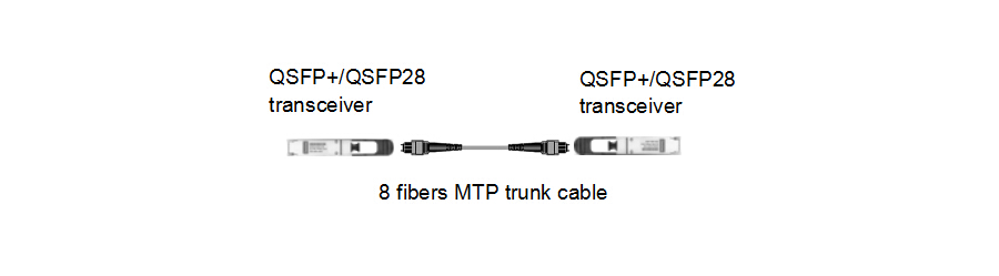 8-fiber to 8-fiber direct connectivity